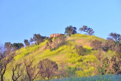 DSC_6229 (Large).JPG